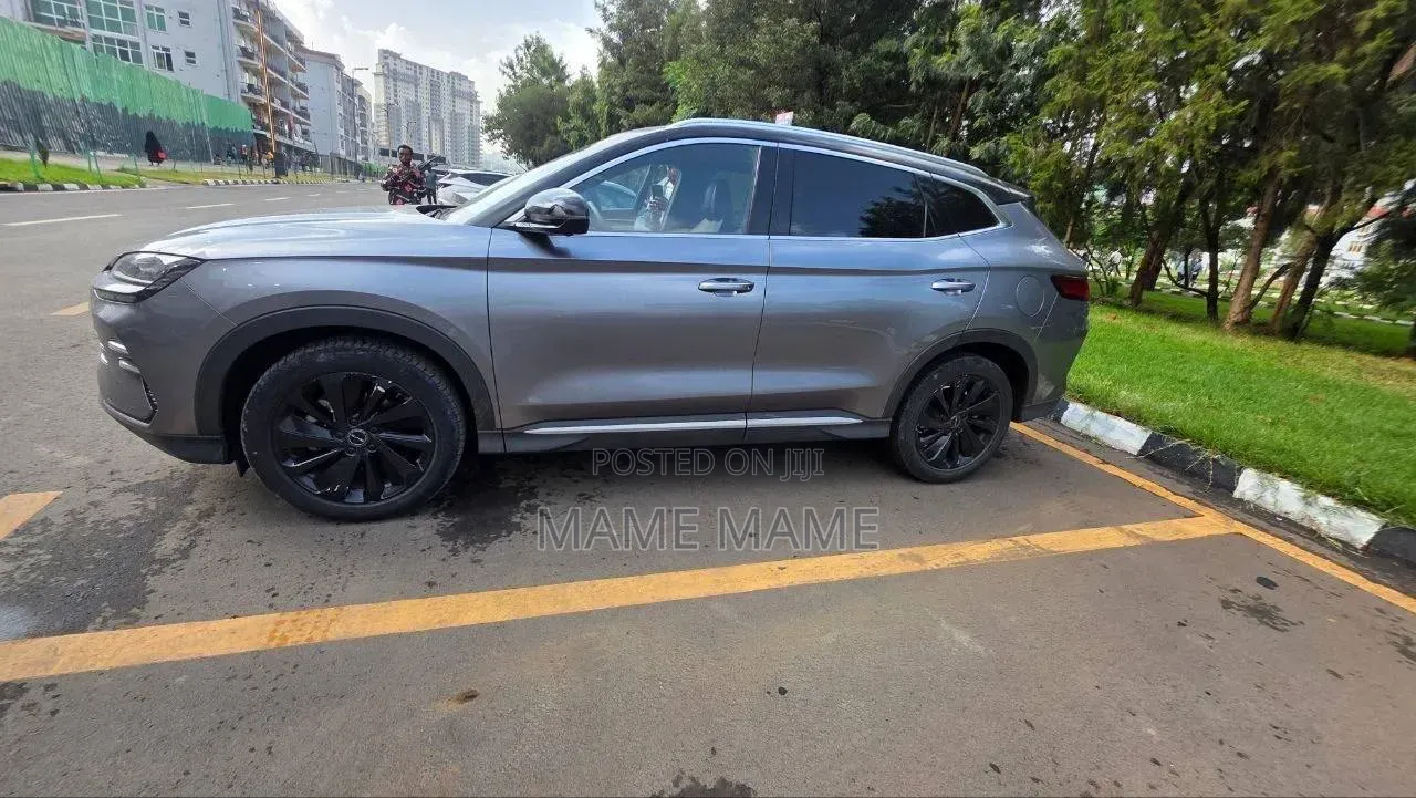 New BYD Song Plus 2024 Gray