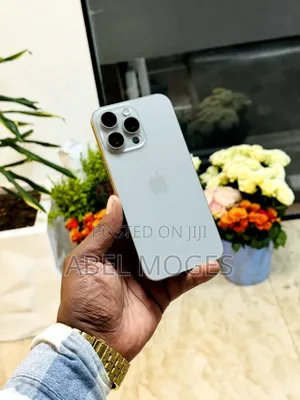 Apple iPhone 15 Pro Max 256 GB Gray