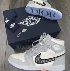Air Jordan Dior