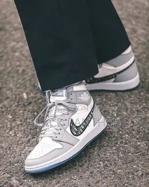 Air Jordan Dior