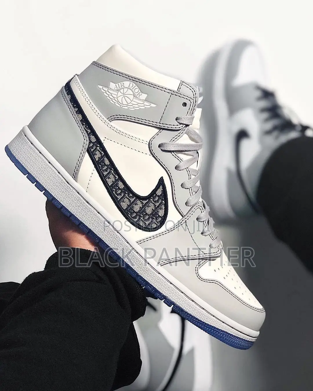 Air Jordan Dior
