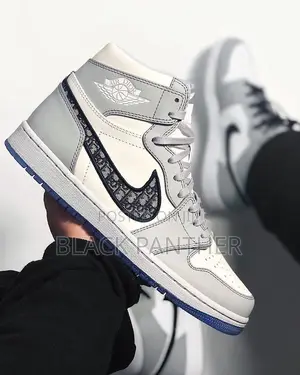 Air Jordan Dior