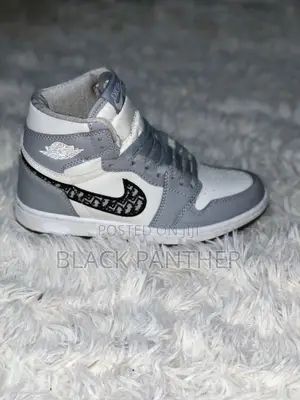 Air Jordan Dior