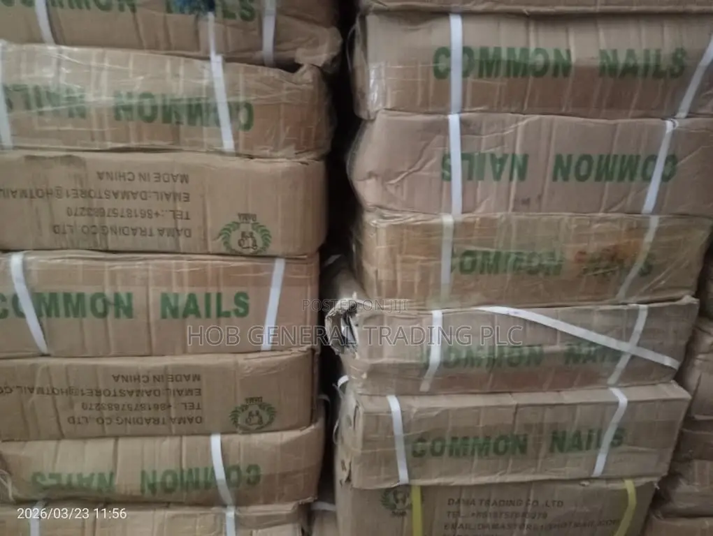 Common Nails For Sale