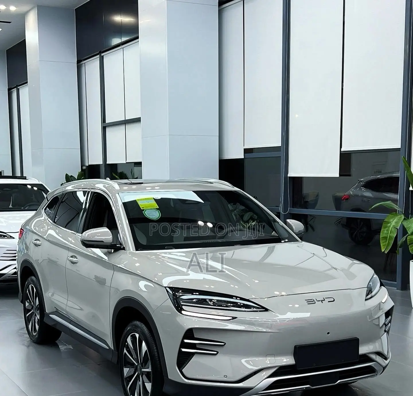 New BYD Song Plus 2025 Teal