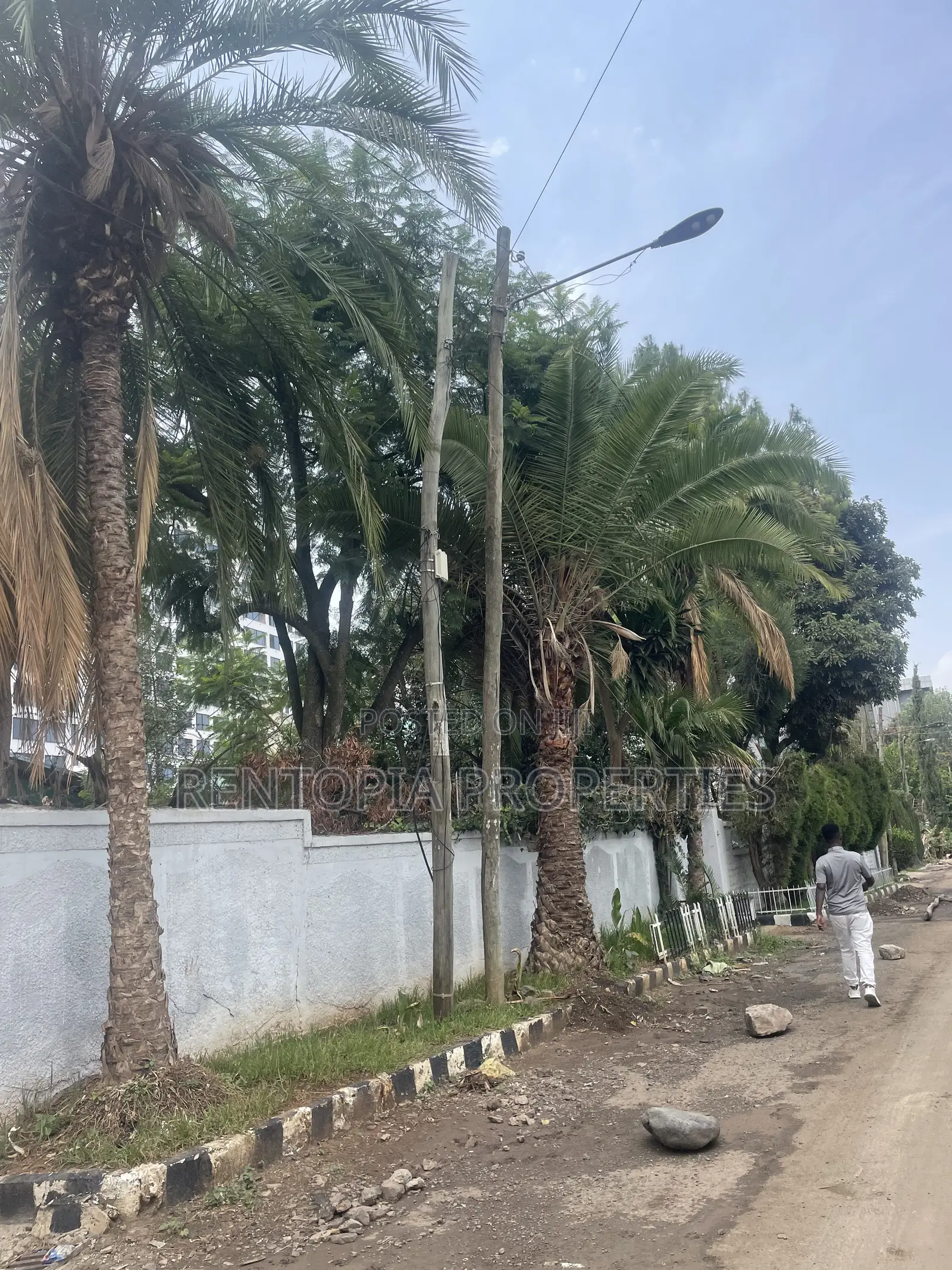 የሚሸጥ 390ካሬ ቦታቦሌ ! 390sqm Land for Sale! Bole