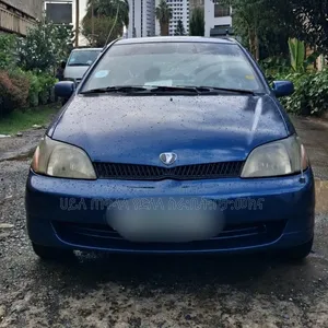 Toyota Platz 2002 Beige