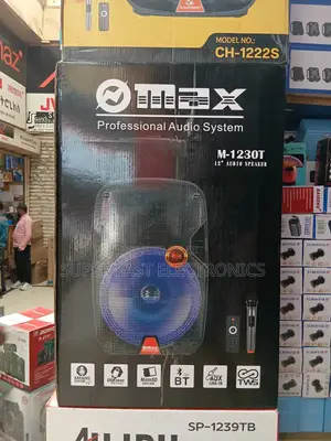 Max 12 Inch Speaker With Wireless Microphone