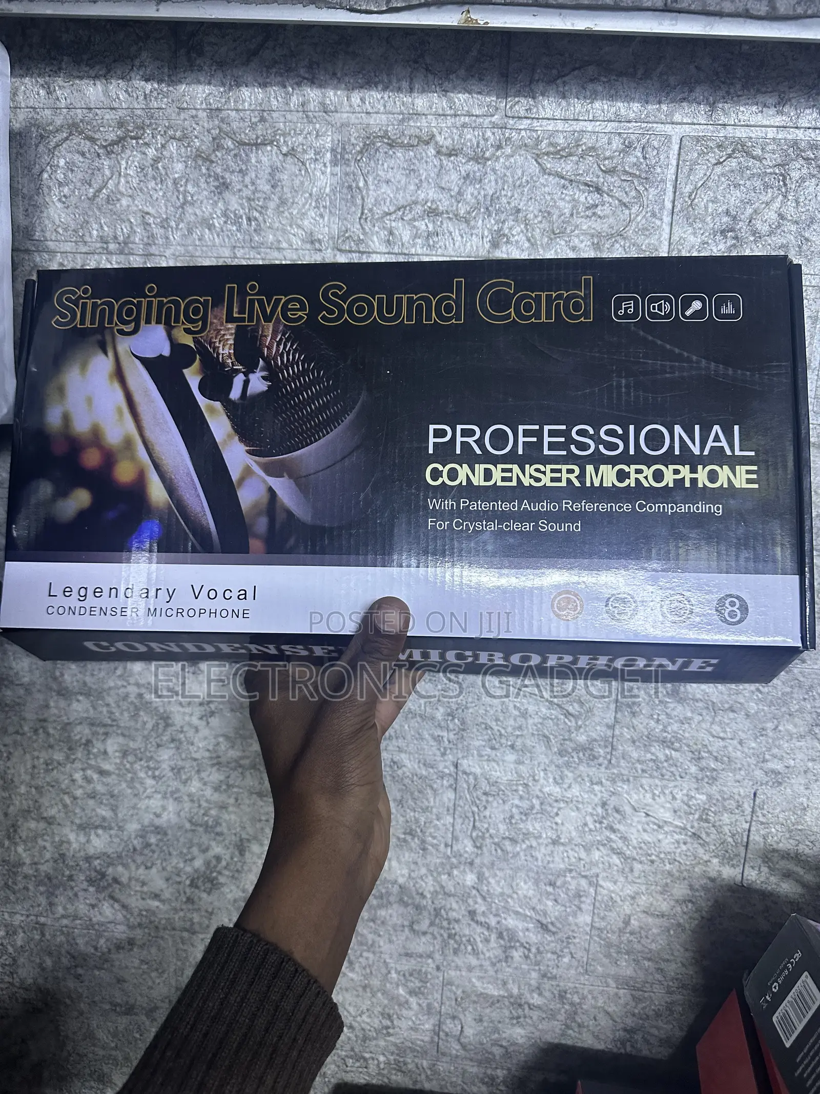 Condenser Microphone | ፕሮፌሽናል Singing Mic