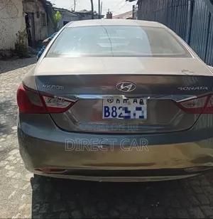 Hyundai Sonata 2014 Silver