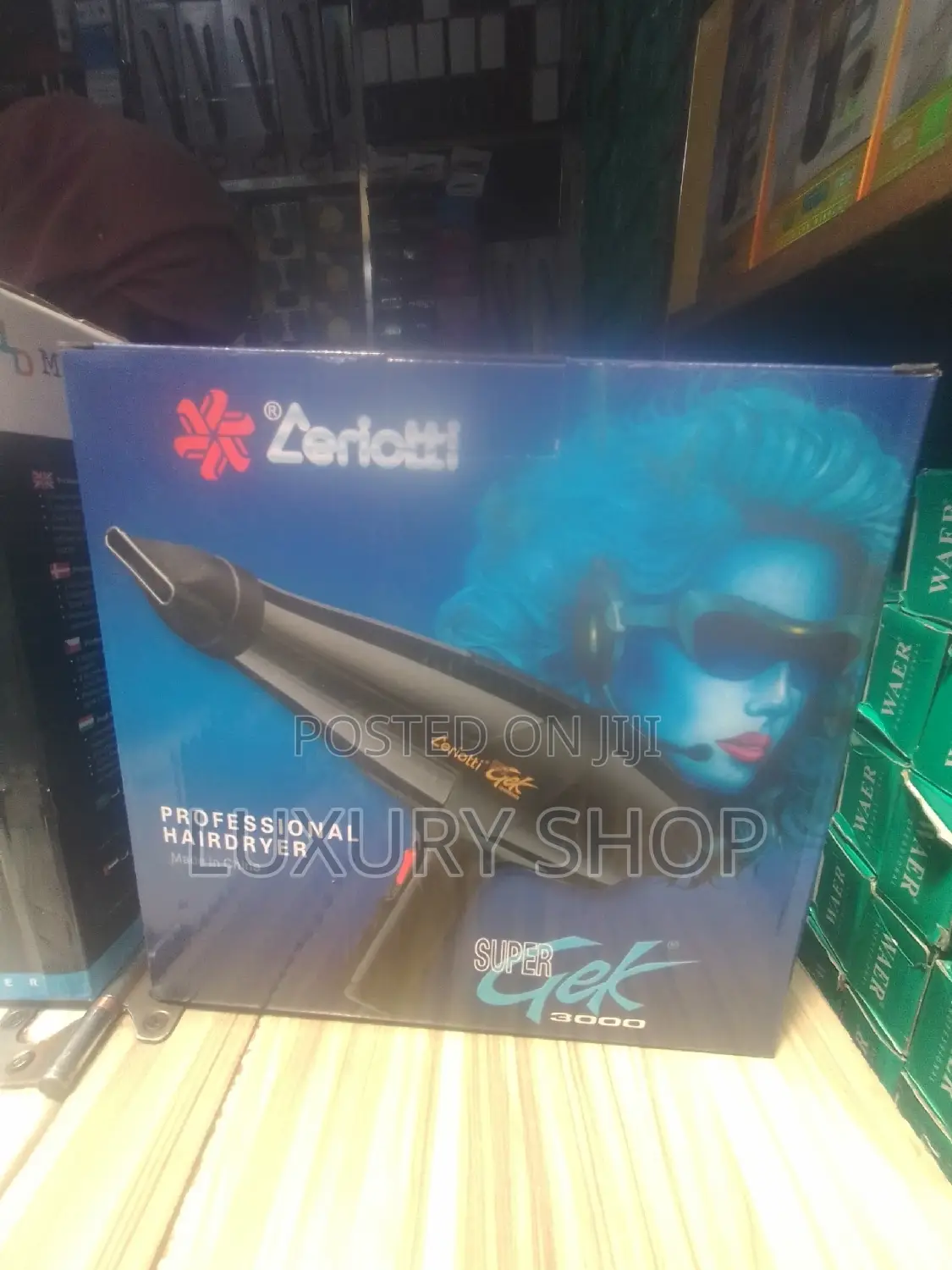 Professional Hair Dryer