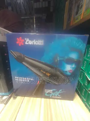 Professional Hair Dryer