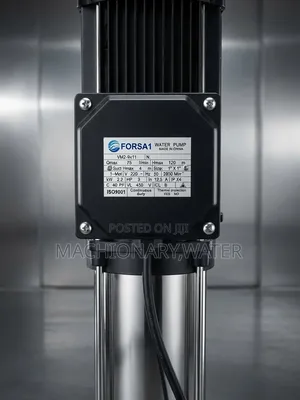 Vertical Multi-Stage Water Pump( ላቪያጆ )3hp
