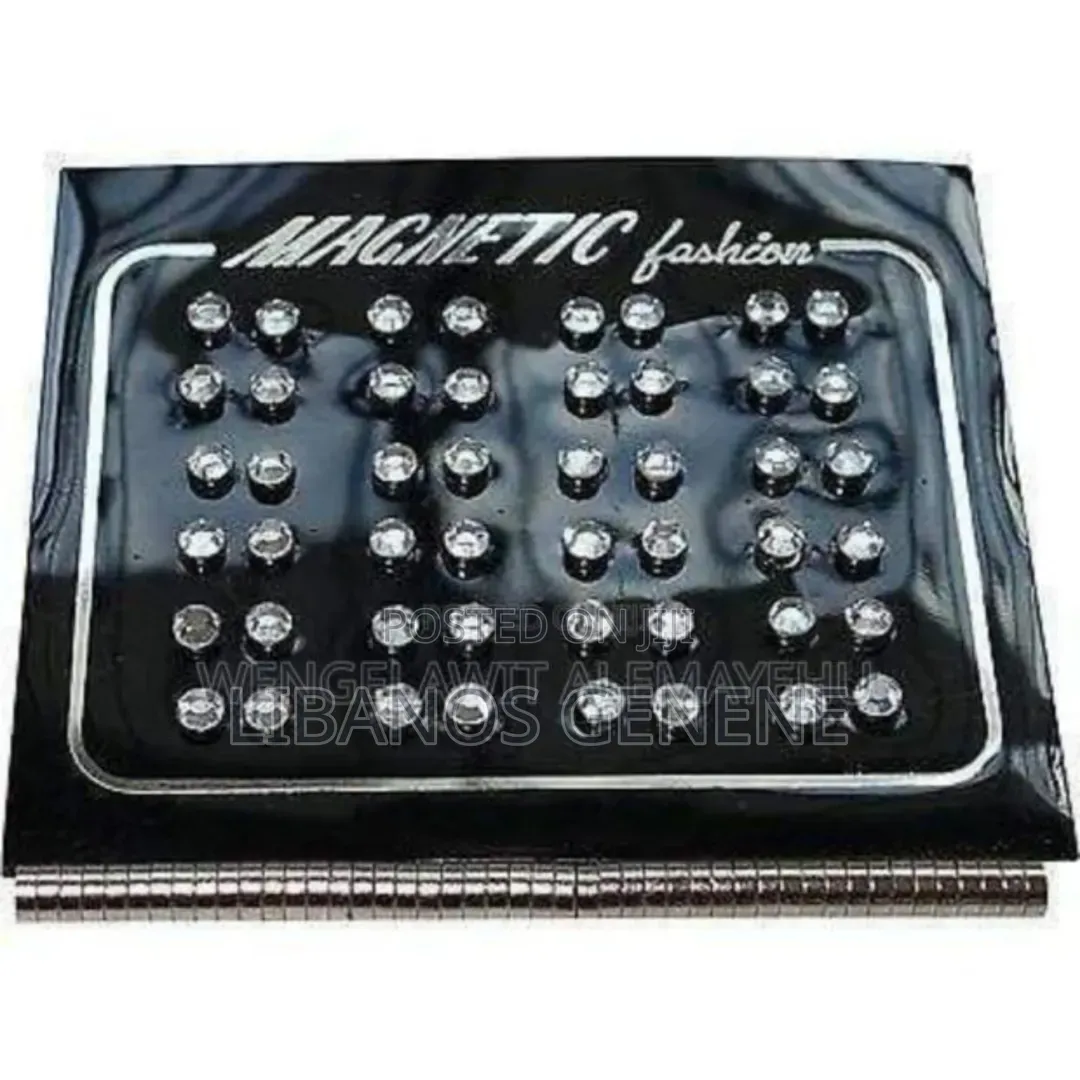 Magnetic Earrings