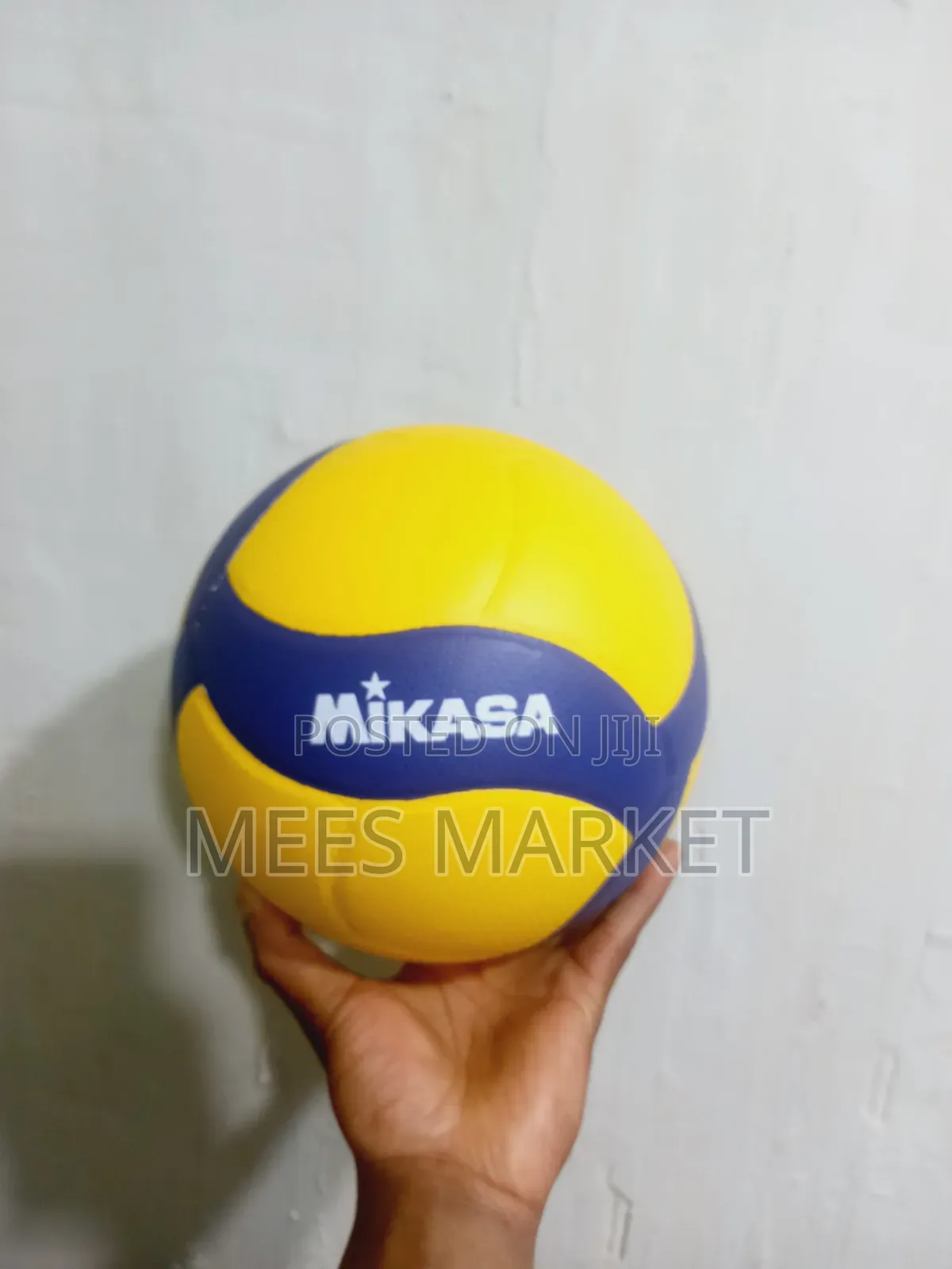 Mikasa Volleyball