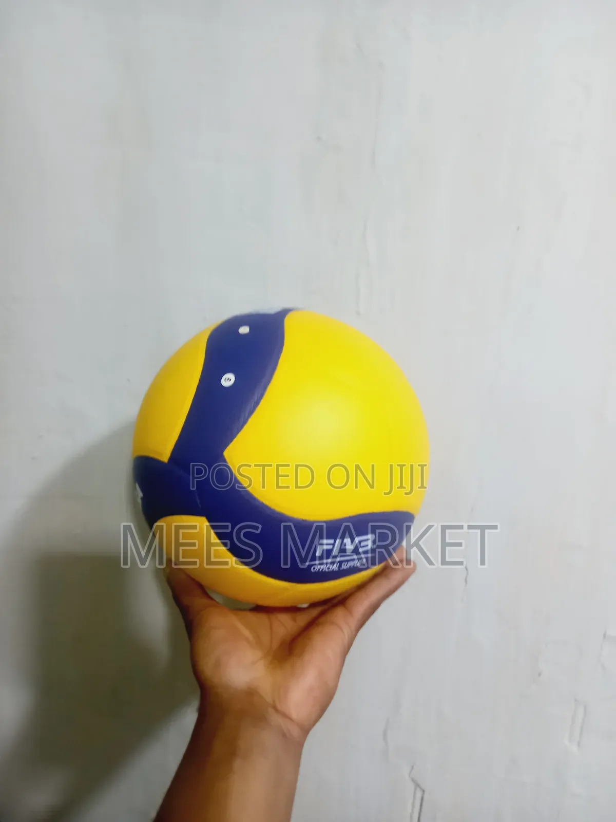 Mikasa Volleyball