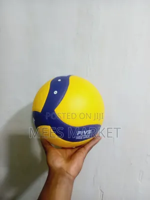 Mikasa Volleyball