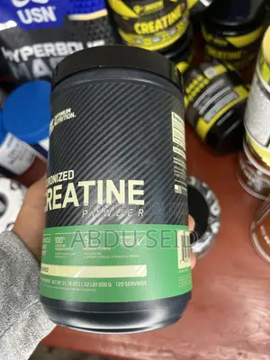 Optimum Nutrition Creatine 120 Servings