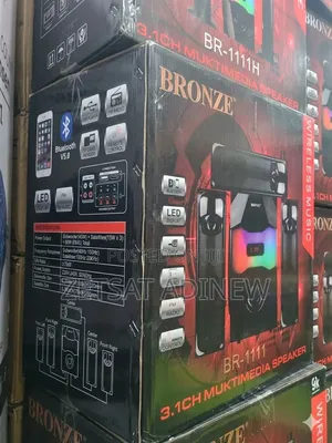 Bronze Speaker