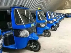 New Bajaj Avenger 220 Street 2025 Blue