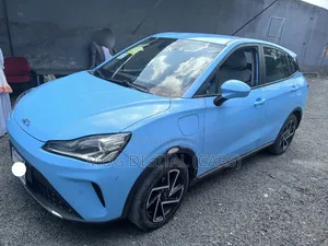 Hozon Neta Aya 2024 Blue