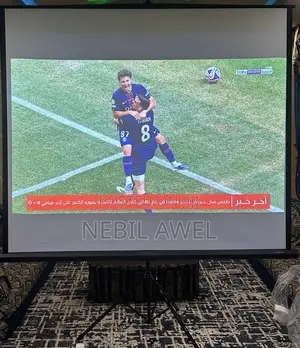 Projector Screen