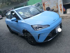 Hozon Neta Aya 2024 Blue
