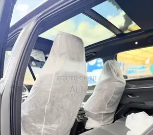 New BYD Song Pro DM-i 2025 Silver