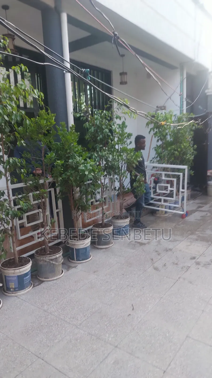 3bdrm House in Oromia, East Shewa for sale