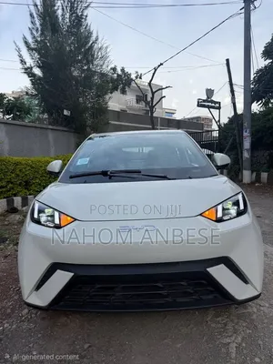 New BYD Seagull 2024 White