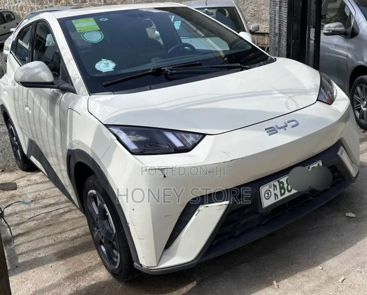 BYD Seagull 2024 White
