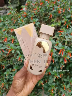 Perfume Affordable
