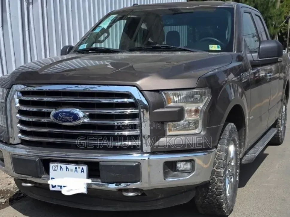 Ford F-150 2016 Brown