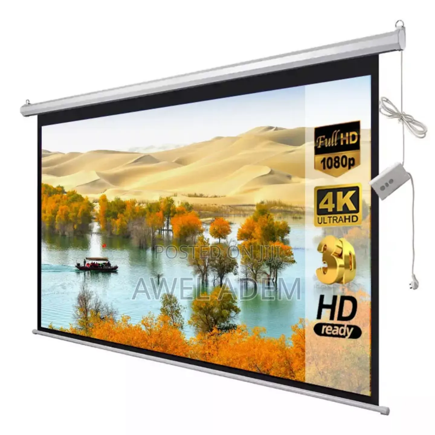 Motorized Projector Screen
