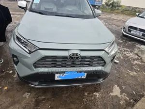 Toyota RAV4 2020 Gray