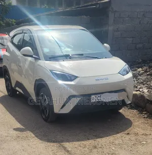 BYD Seagull 2024