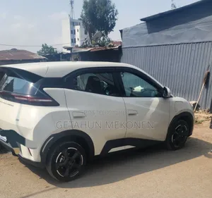 BYD Seagull 2024