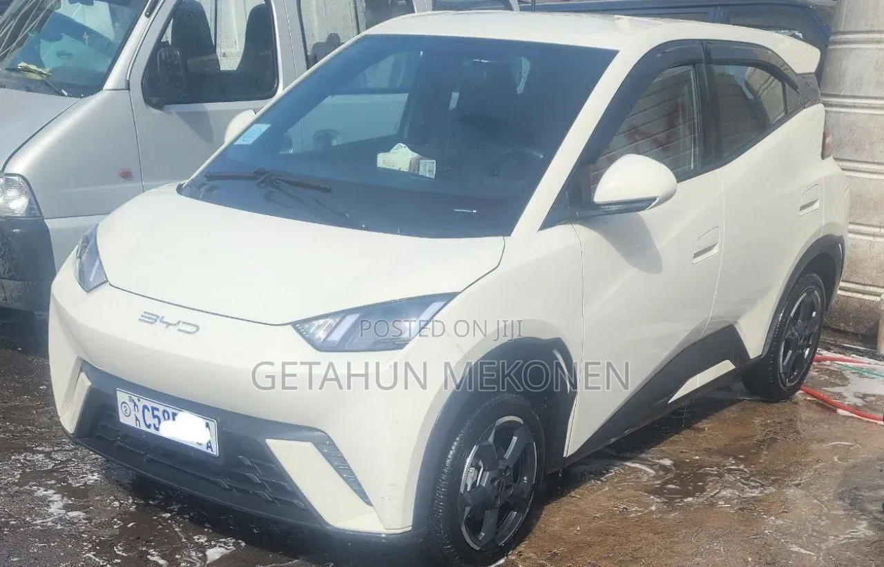 BYD Seagull 2024