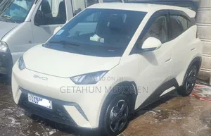 BYD Seagull 2024