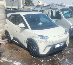 BYD Seagull 2024