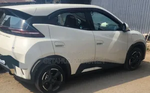 BYD Seagull 2024