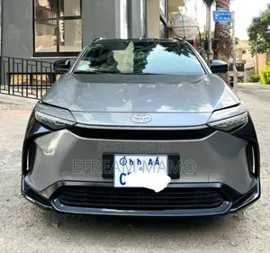 BYD E2 43 kWh 94 hp FWD 2024