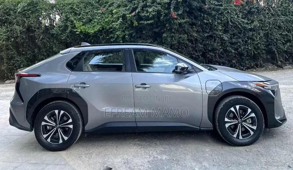 BYD E2 43 kWh 94 hp FWD 2024