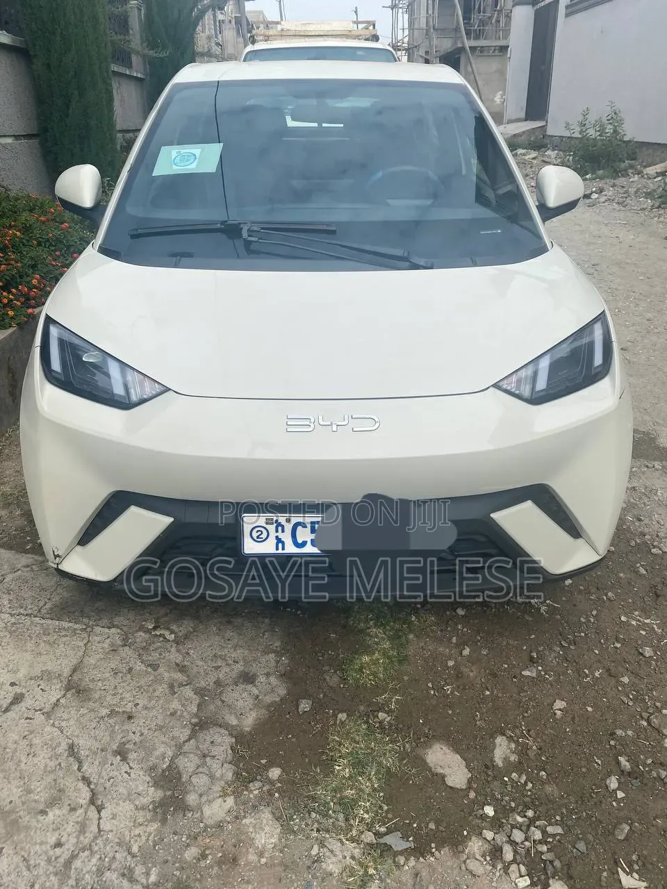 BYD Seagull 2024 White
