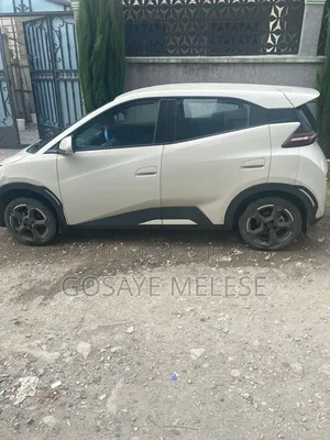 BYD Seagull 2024 White