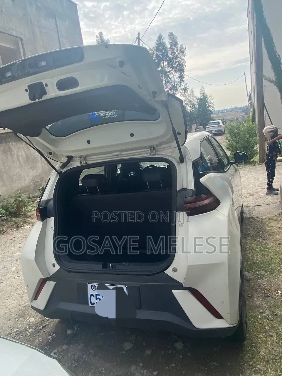 BYD Seagull 2024 White