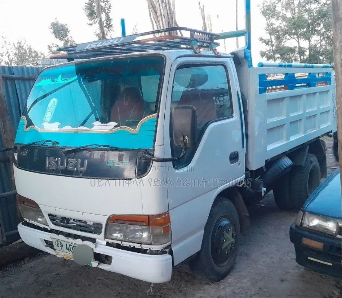 1999 Isuzu Mintruck Manual for Sale