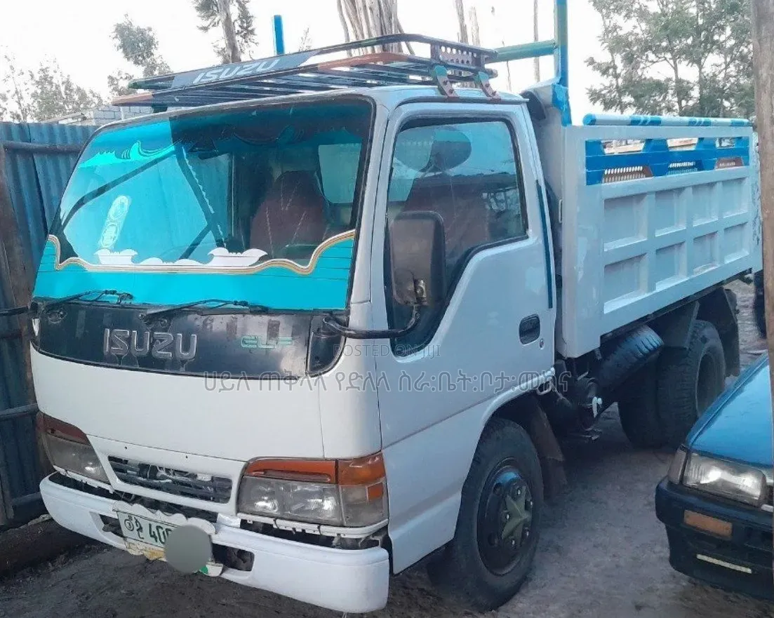 1999 Isuzu Mintruck Manual for Sale