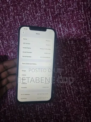 Apple iPhone 12 Pro Max 256 GB Blue