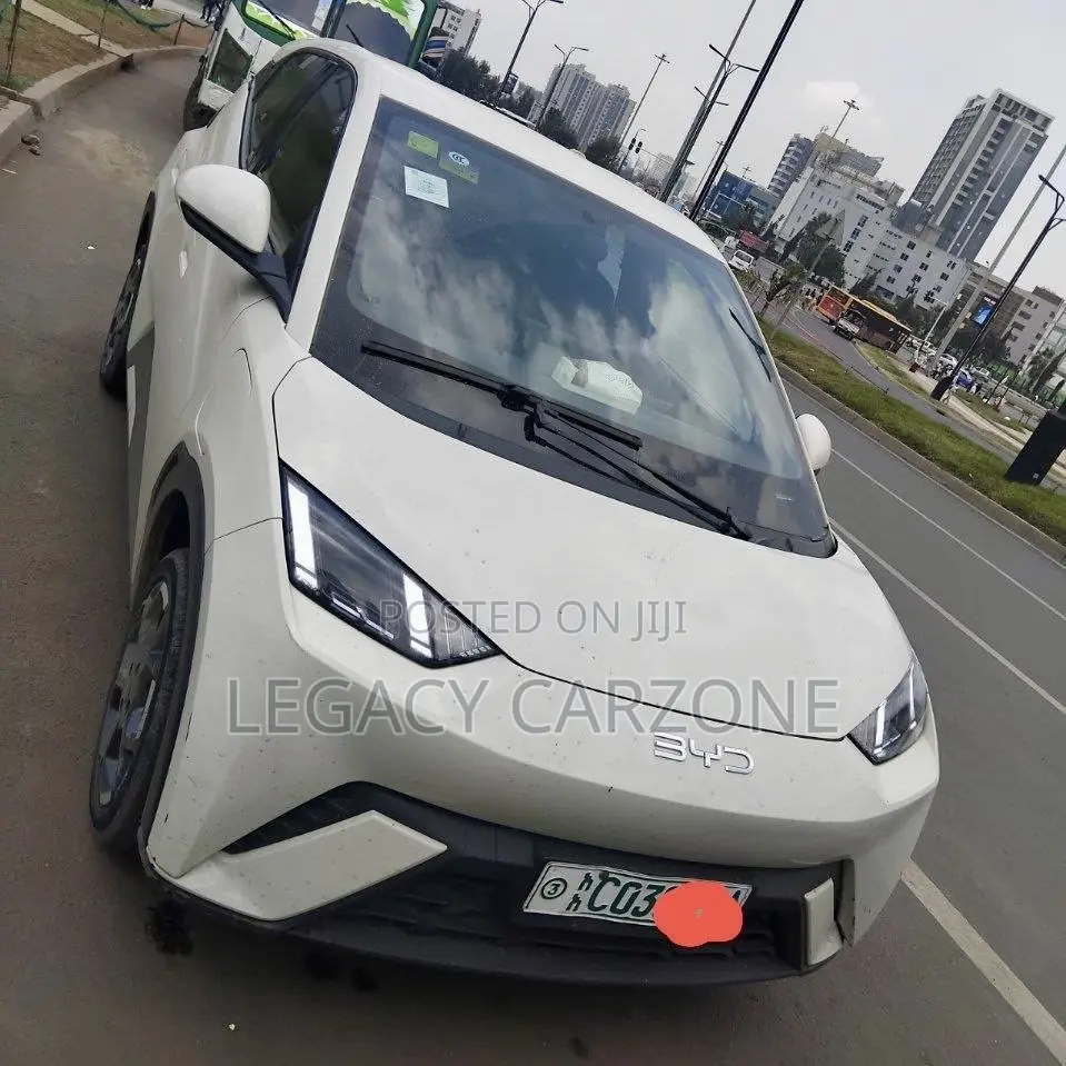 BYD Seagull 2025 White